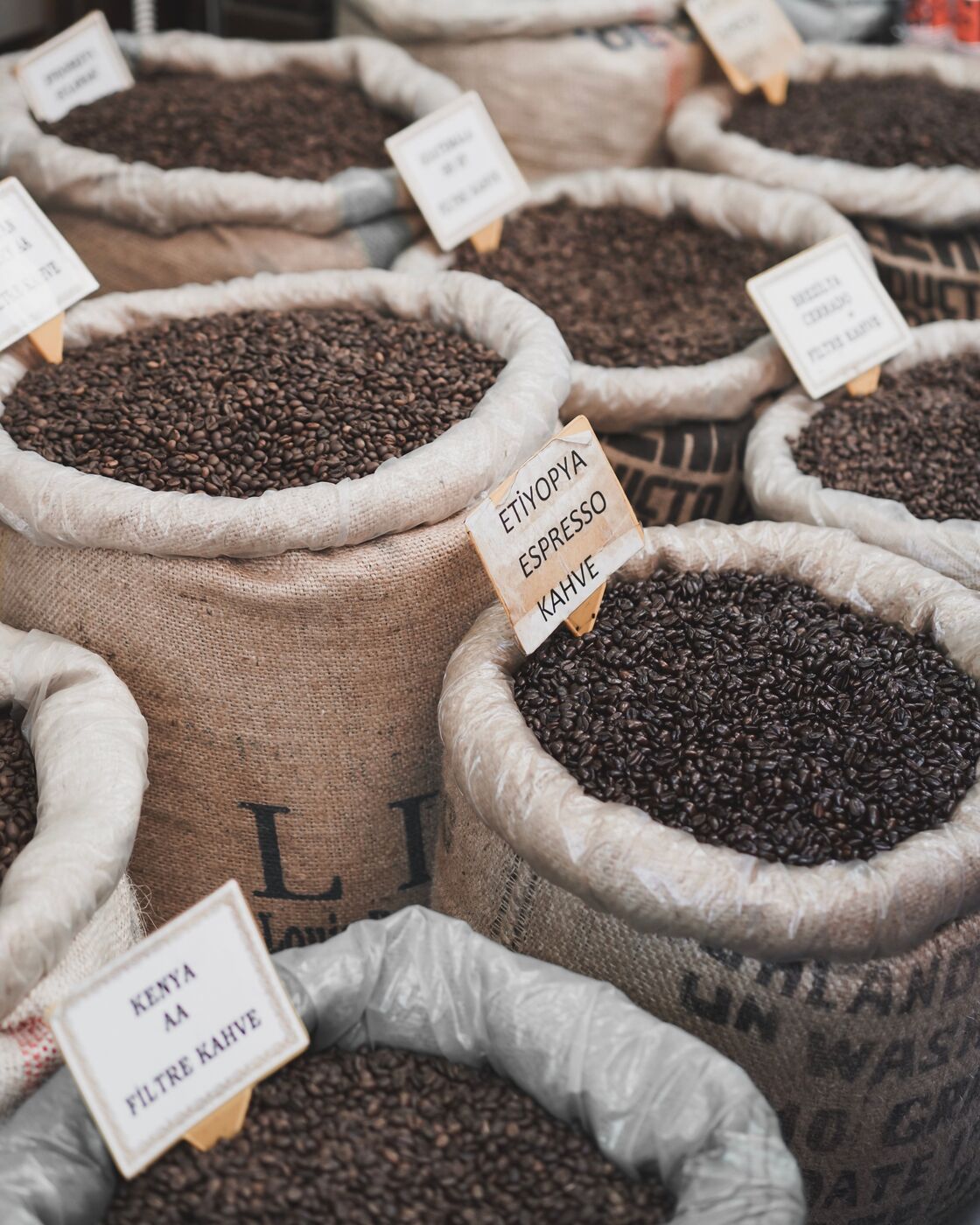 Beans after fermentation