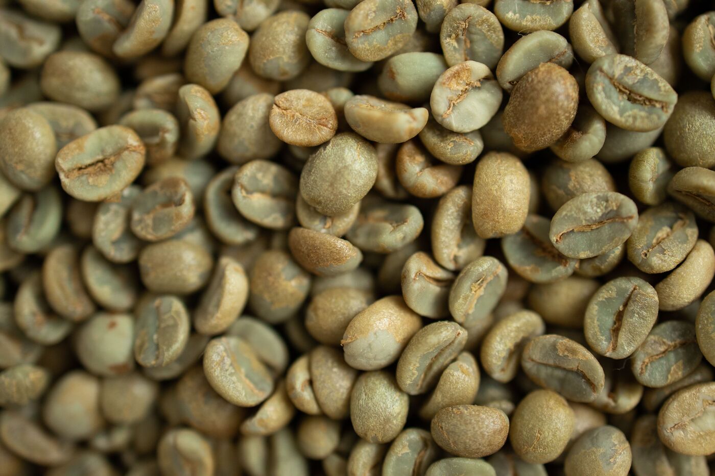 Washed green coffee beans